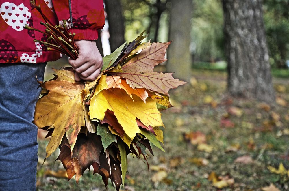 Photograph by Наталья Карпова