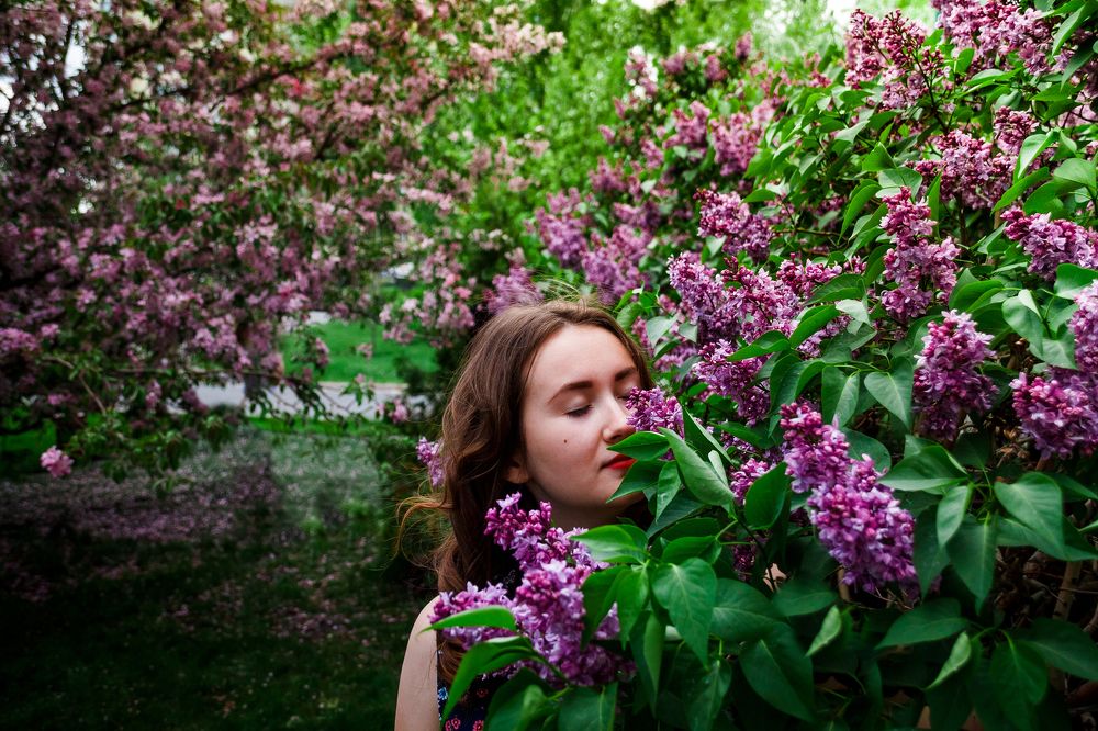 Таинственный сад