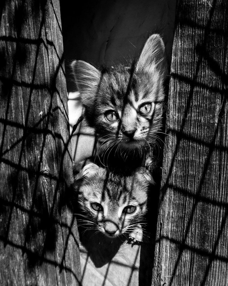 Photograph by Влад Имиров