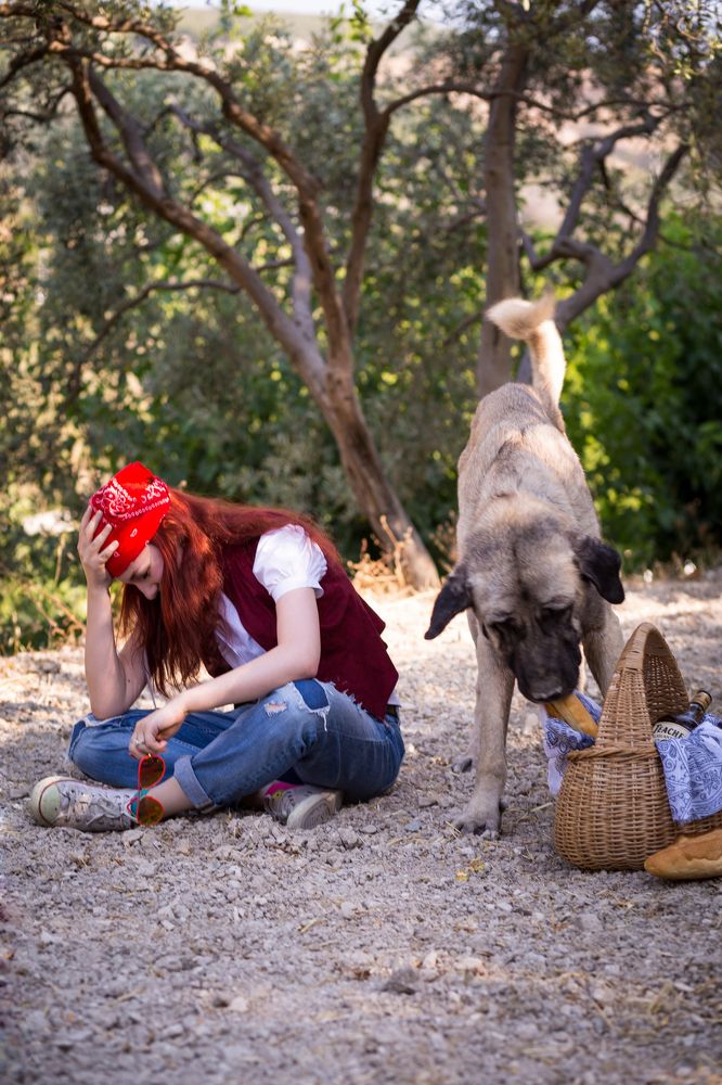 Красная Шапочка и Серый Волк