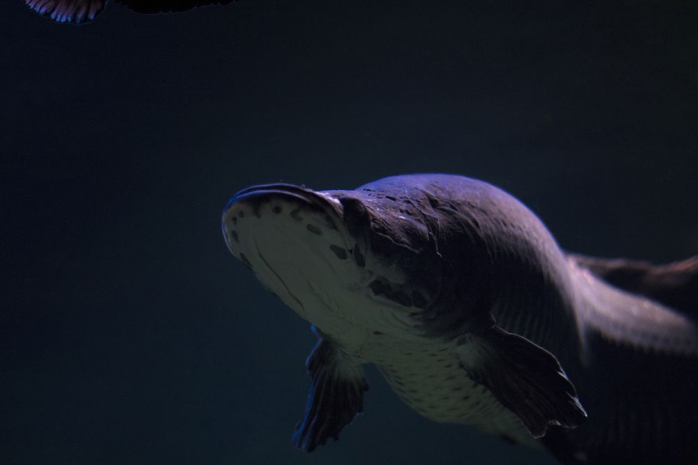 Photograph by Олег