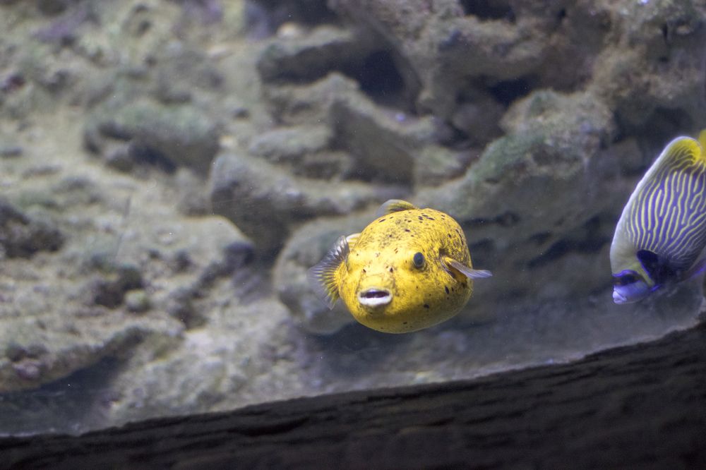 Photograph by Олег