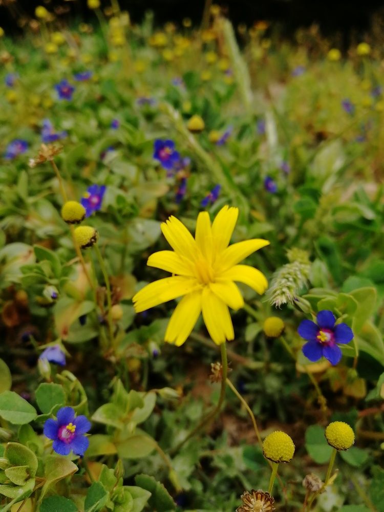 Photograph by zainalabdeen mard