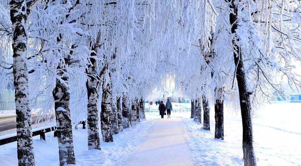 Photograph by Кожевников Евгений