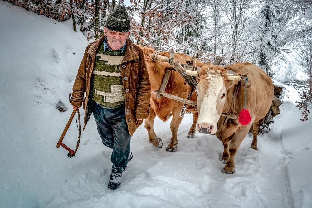 discussions and friendship 1