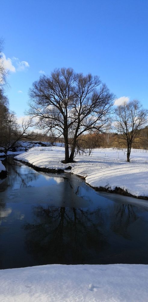 Вечерние тени