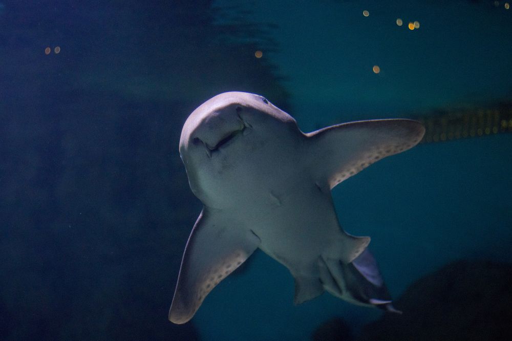 Photograph by Олег