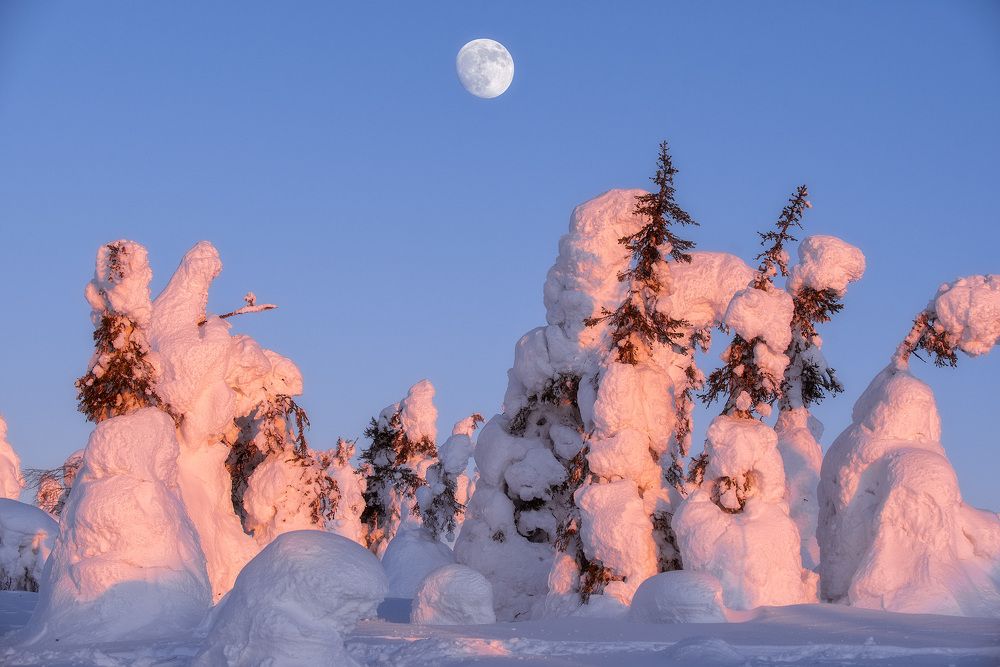 Photograph by Андрей Баскевич