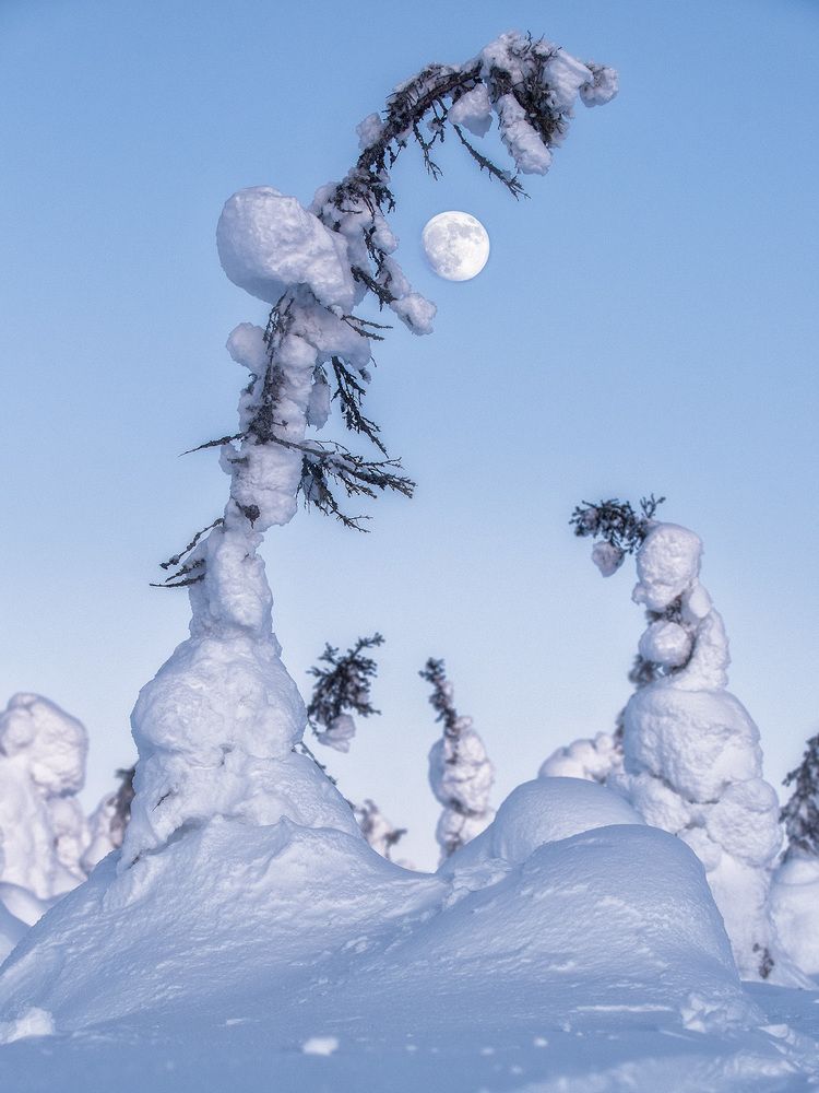 Photograph by Андрей Баскевич