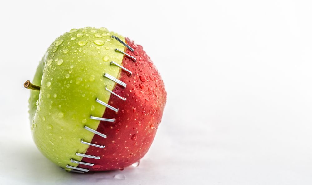 первородный грех