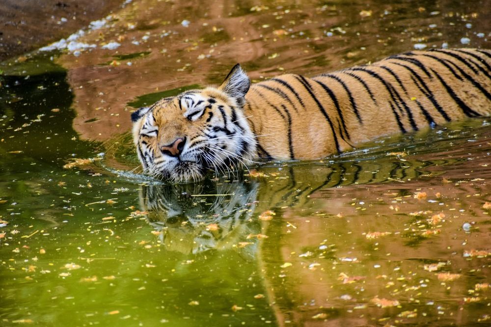 Save water one day it will be useful for others