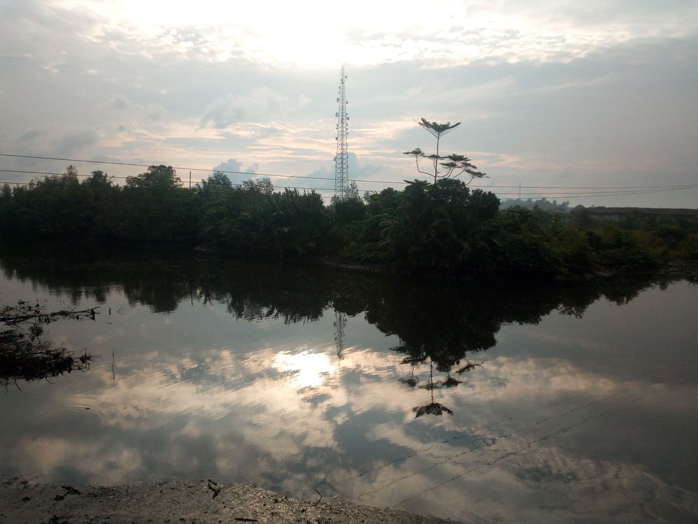 My city view of the creek