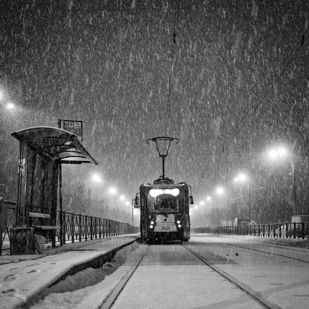 11-й день весны