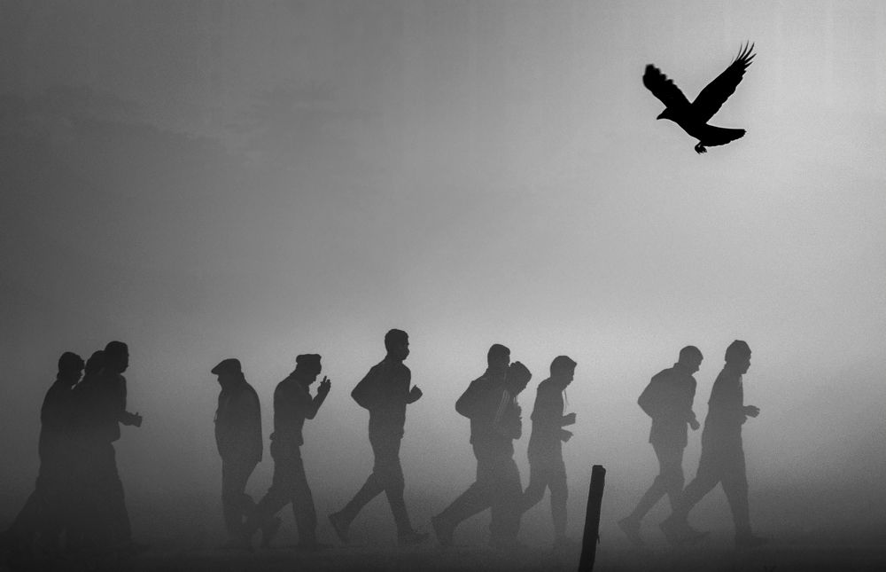 Flying angel of the fate...!