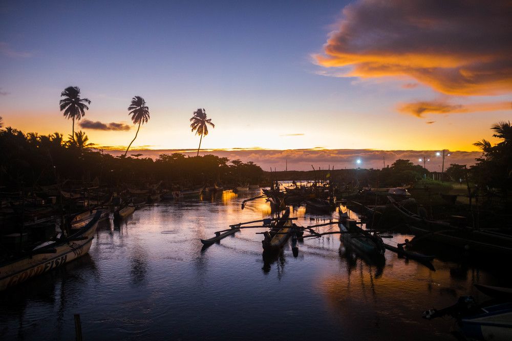 Boats anchored in the harbor under the golden sunset