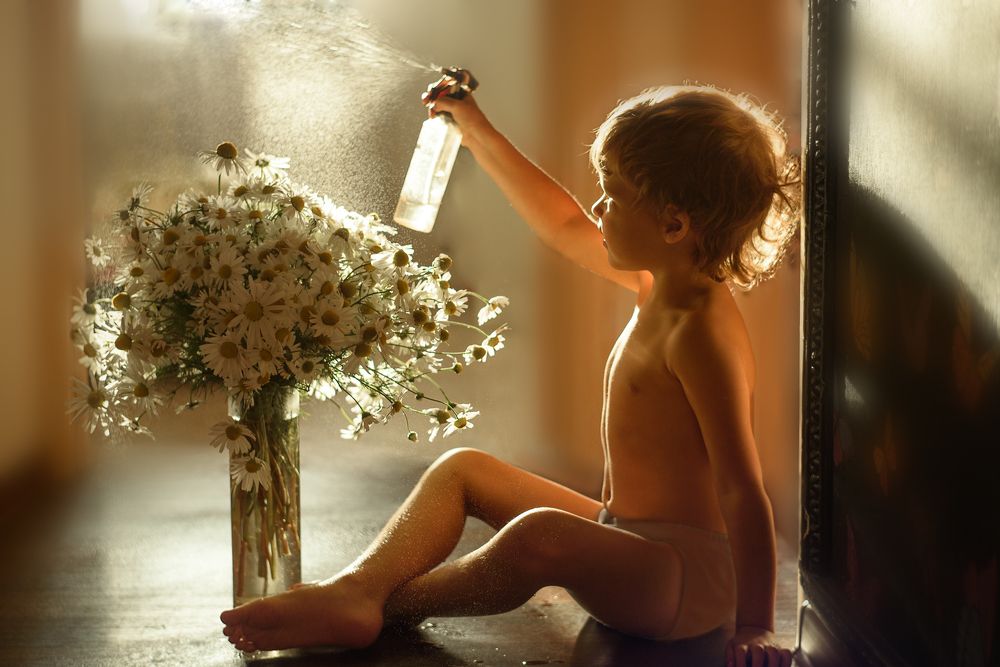 Ромашковый свет