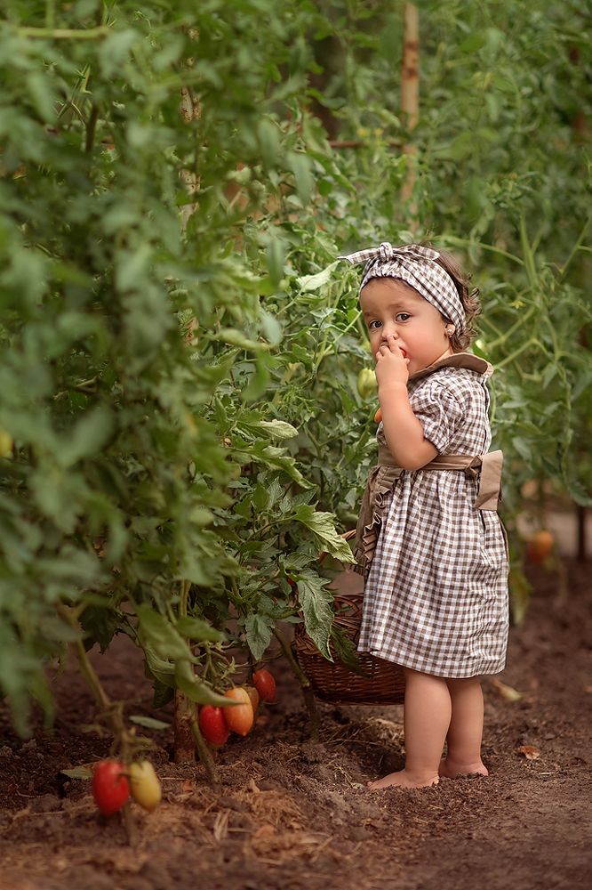 Бабушкины помидоры