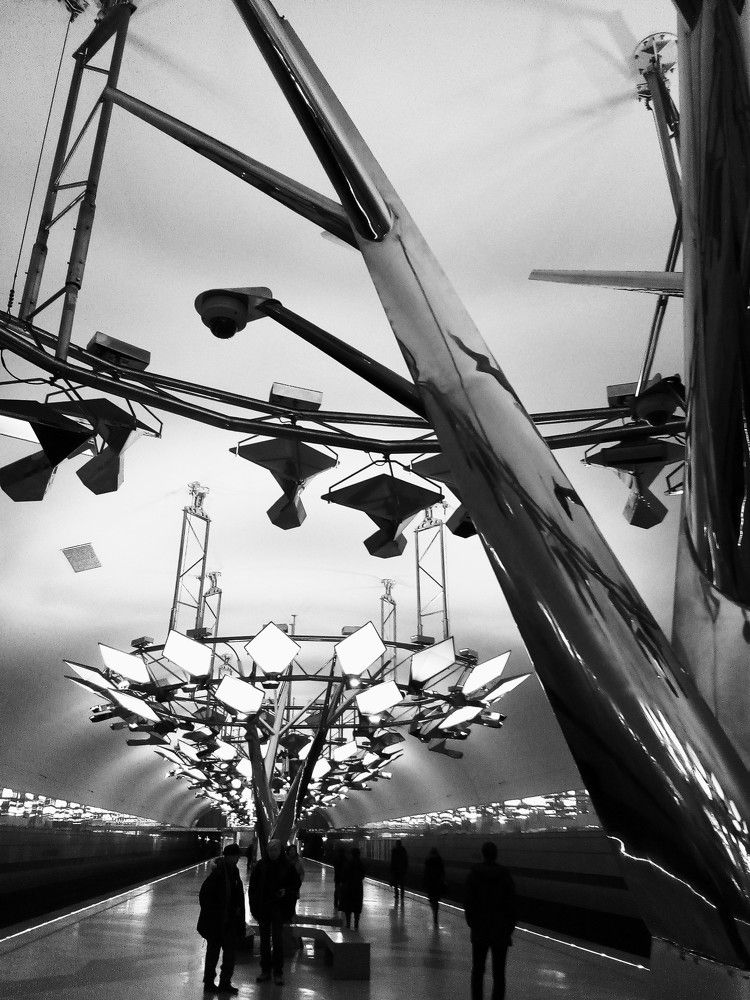 Стальные деревья в Тропарёво