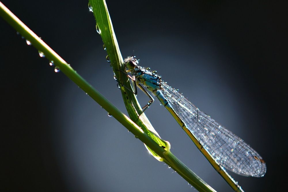 После дождя