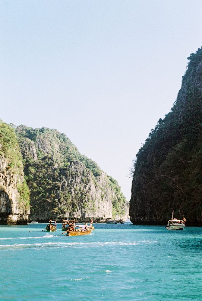 the cove