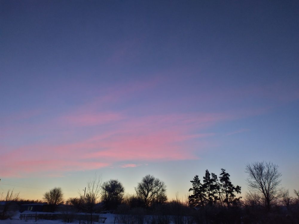 Morning star