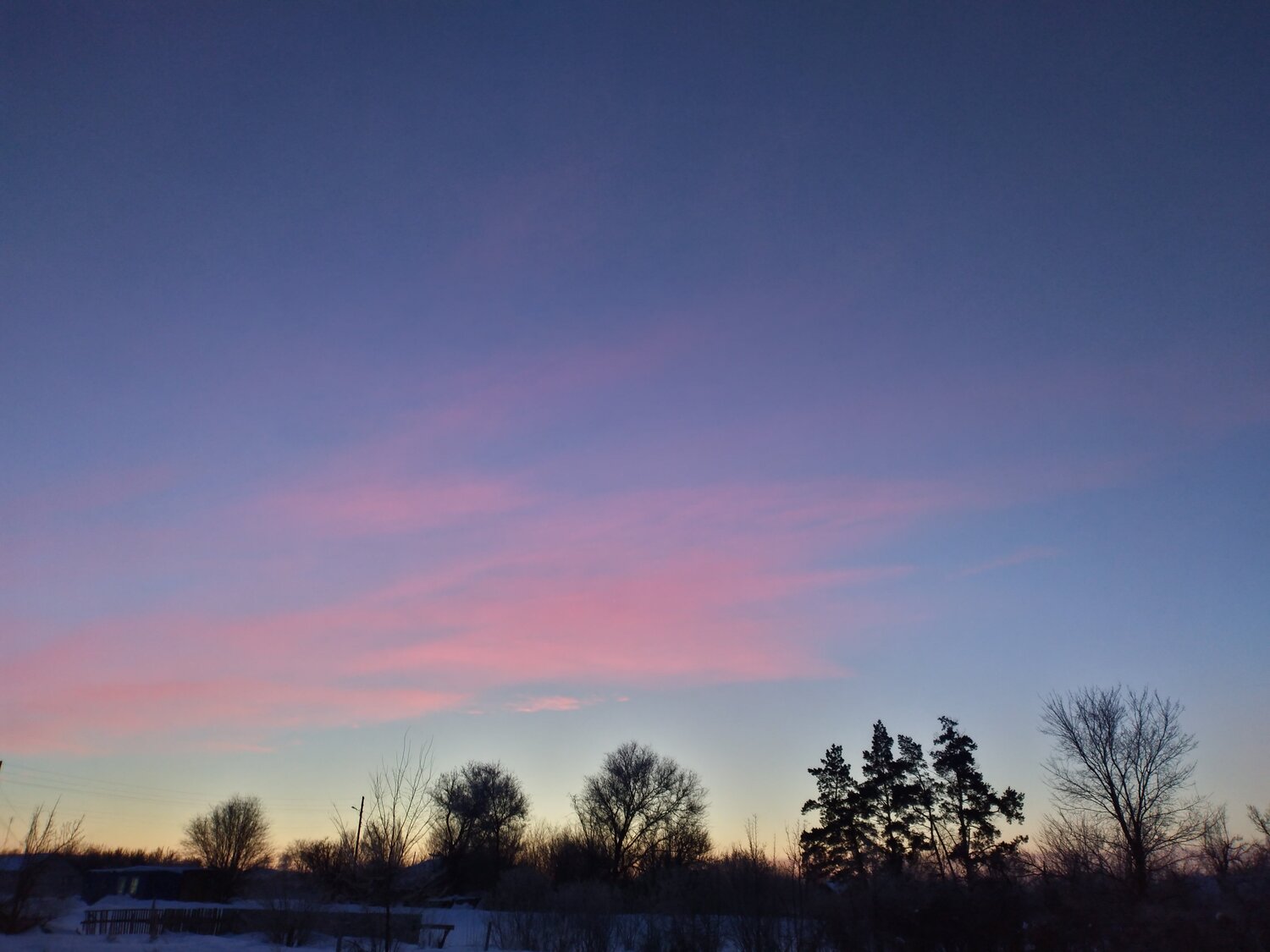 Morning star