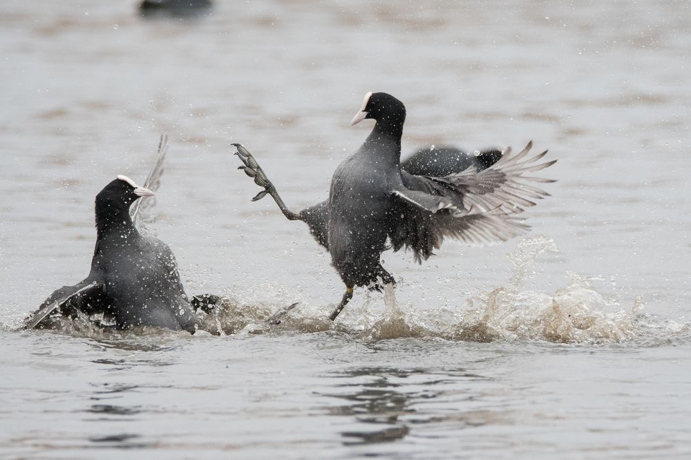 Photograph by Антон Мостовенко
