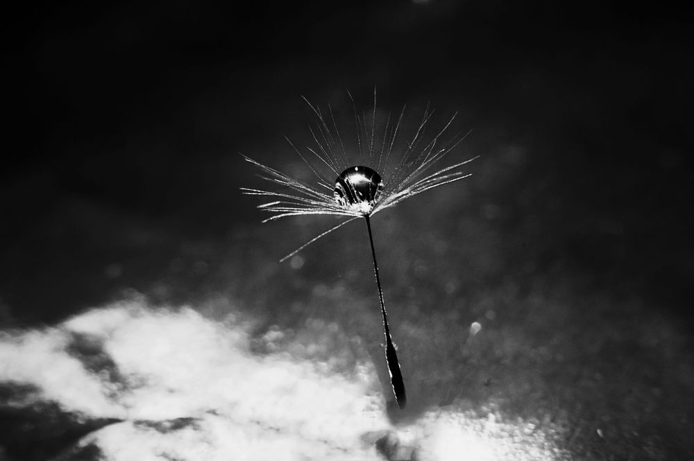 Летящее чудо