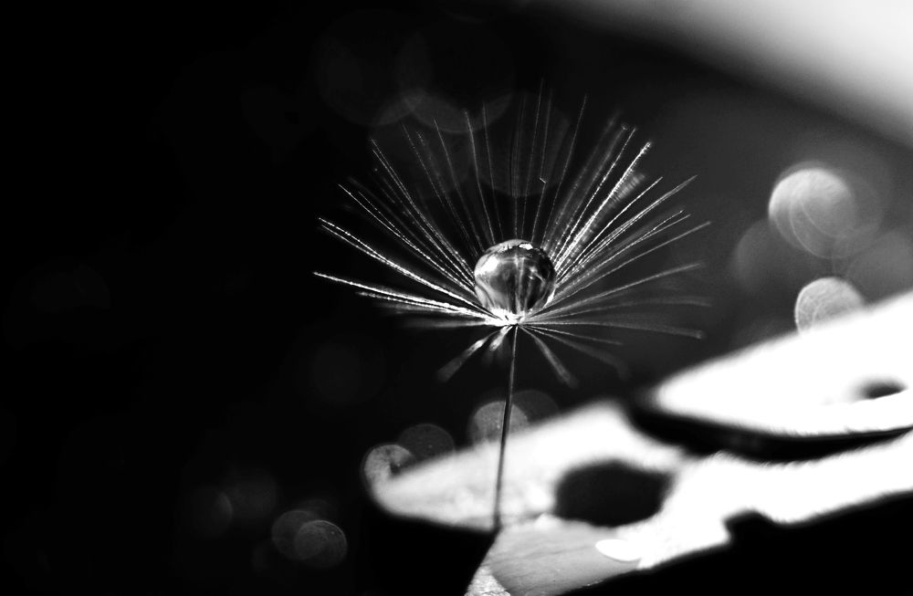 Капля как призма