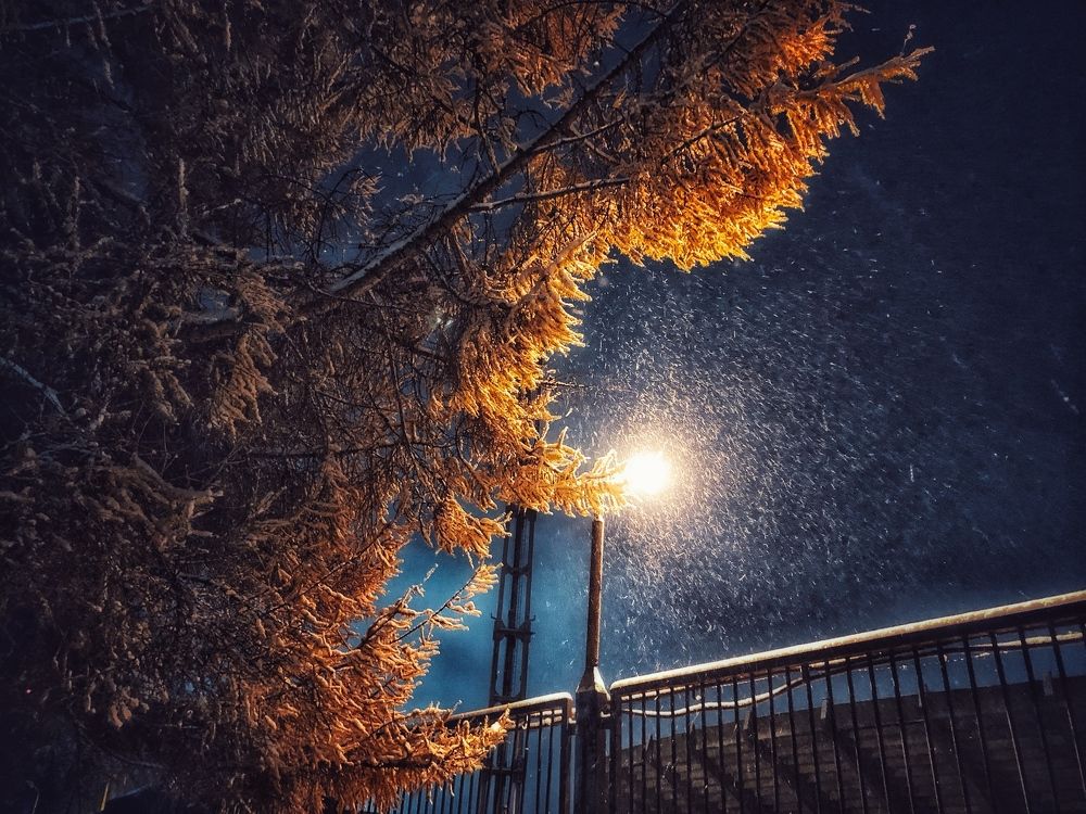 Photograph by Светлана Степанова