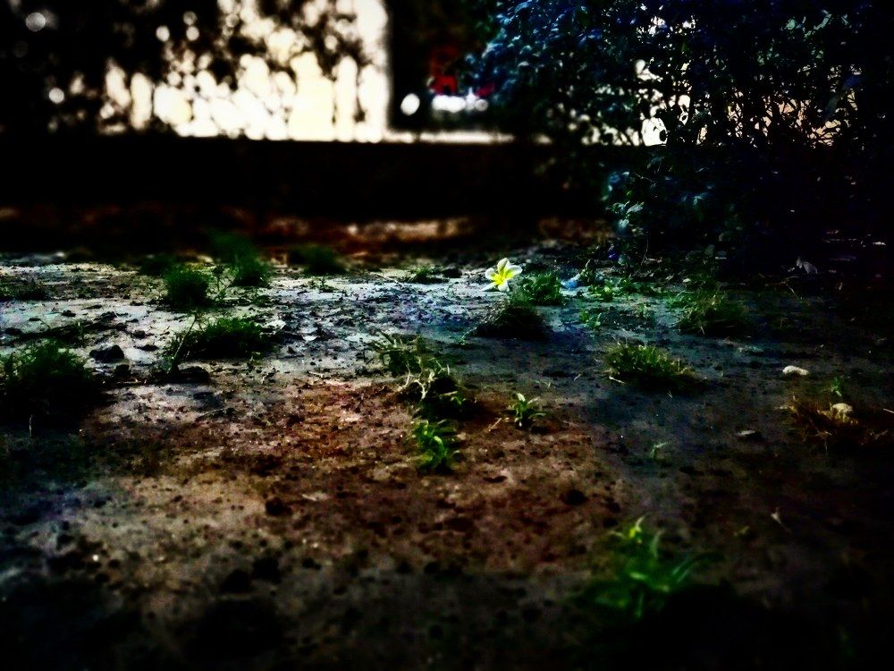 I'm scared to grow apart...