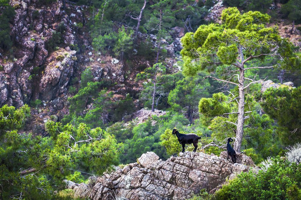 Утро в горах Турции