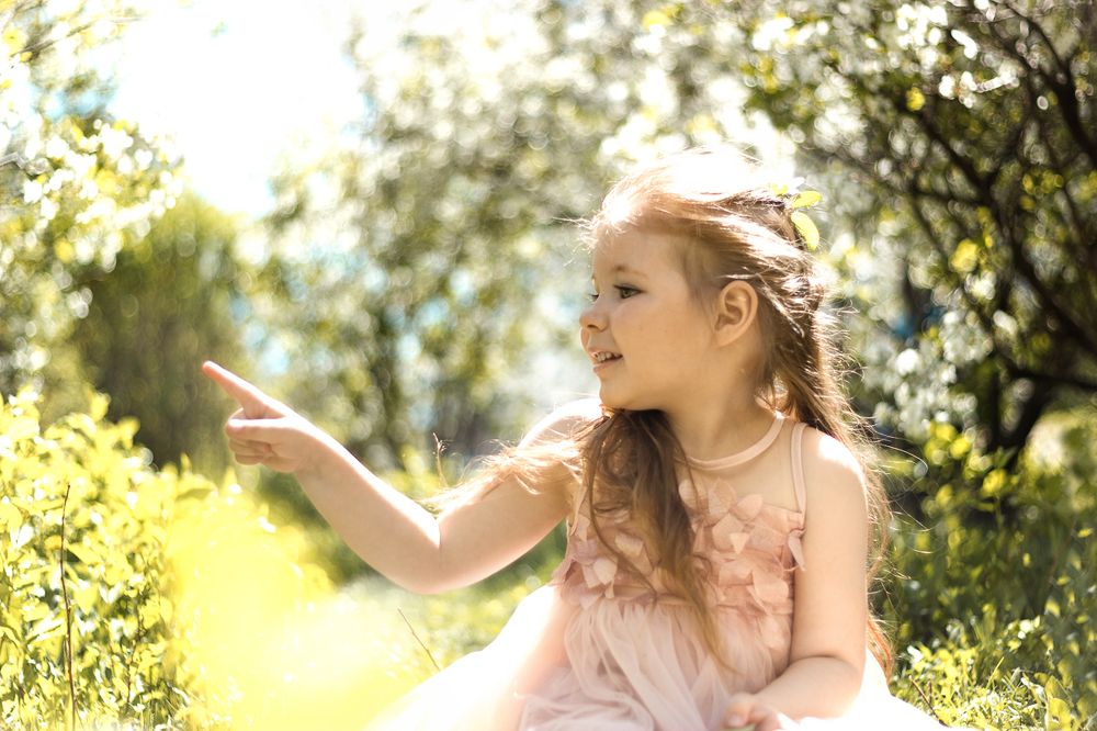 Цветущий сад