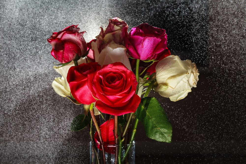 Увядающие розы