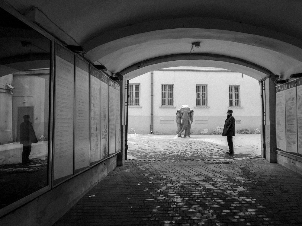 Неожиданный слон