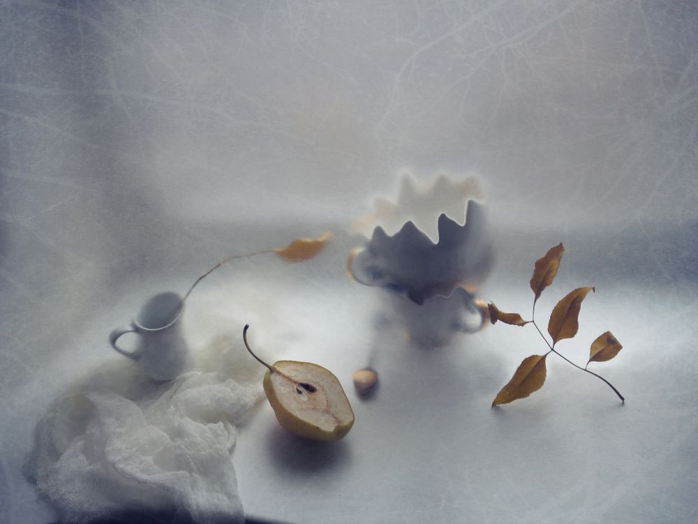 Фотография автора Елена Лысенко