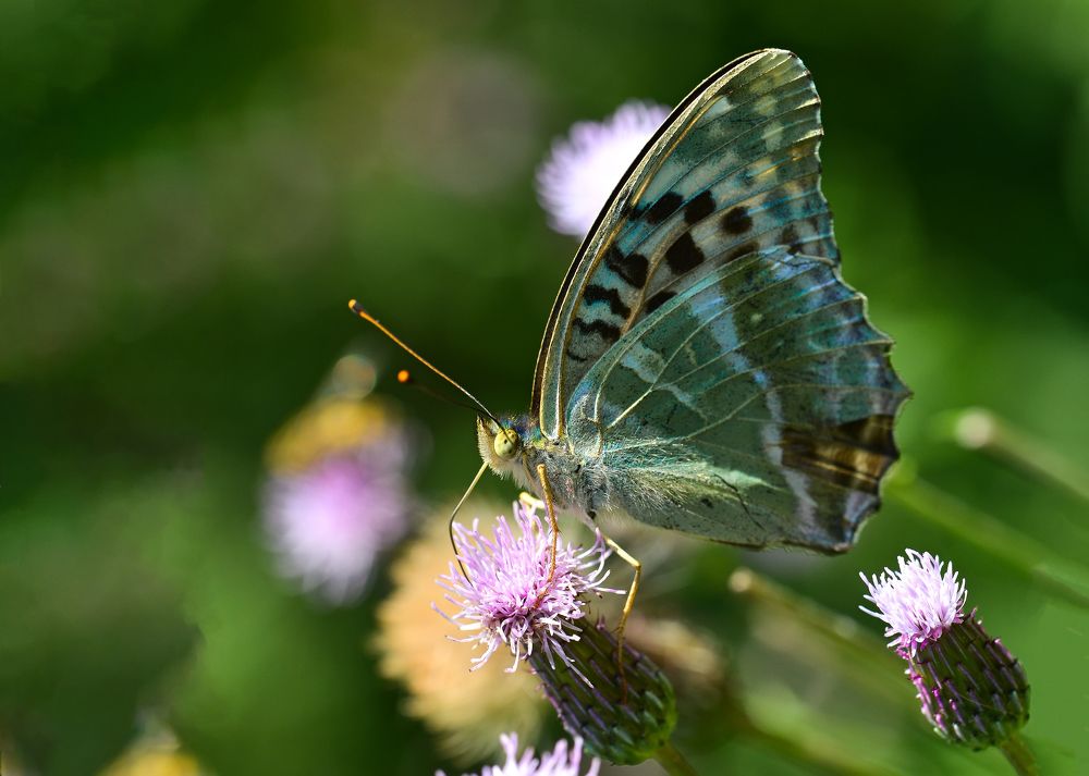 Photograph by Юрий Бичеров