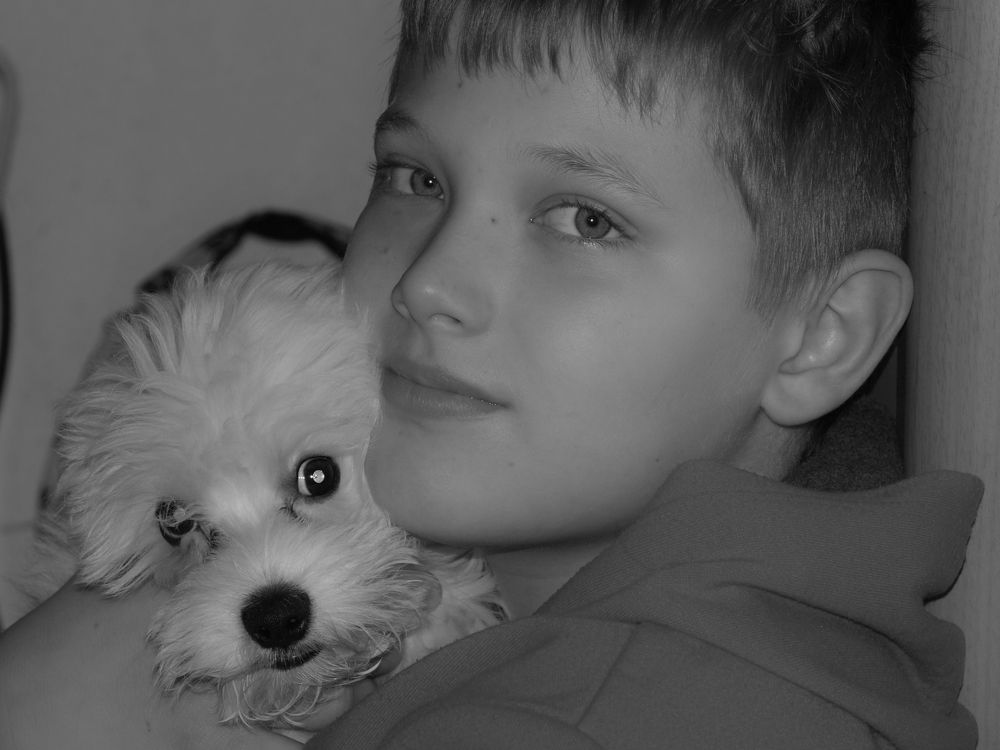 boy, dog, nature, love, peace, black, white