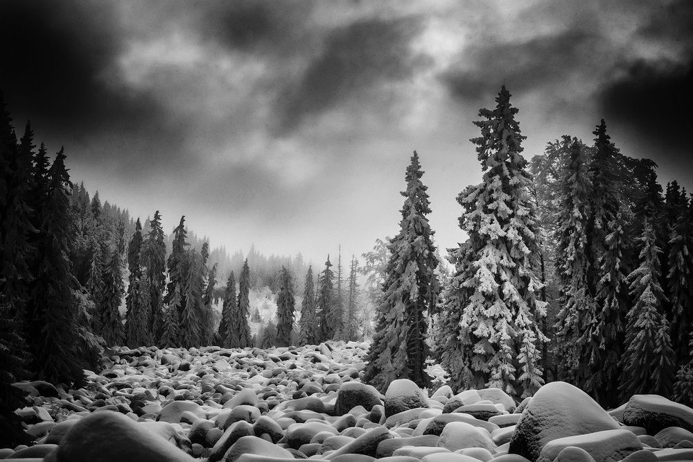 Before a storm in the mountain