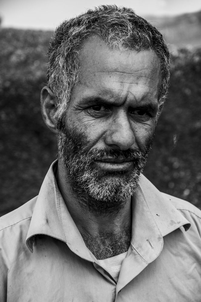 Photograph by Milad qazi