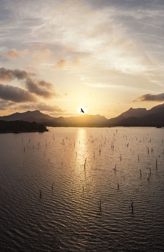 flying through the sky