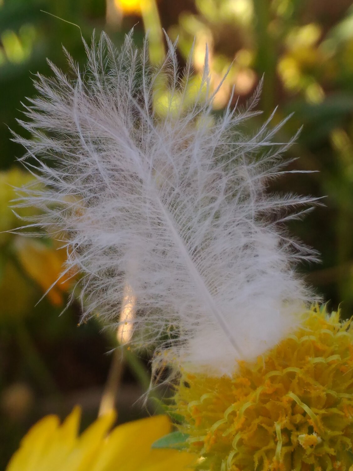 Macro click with mobile