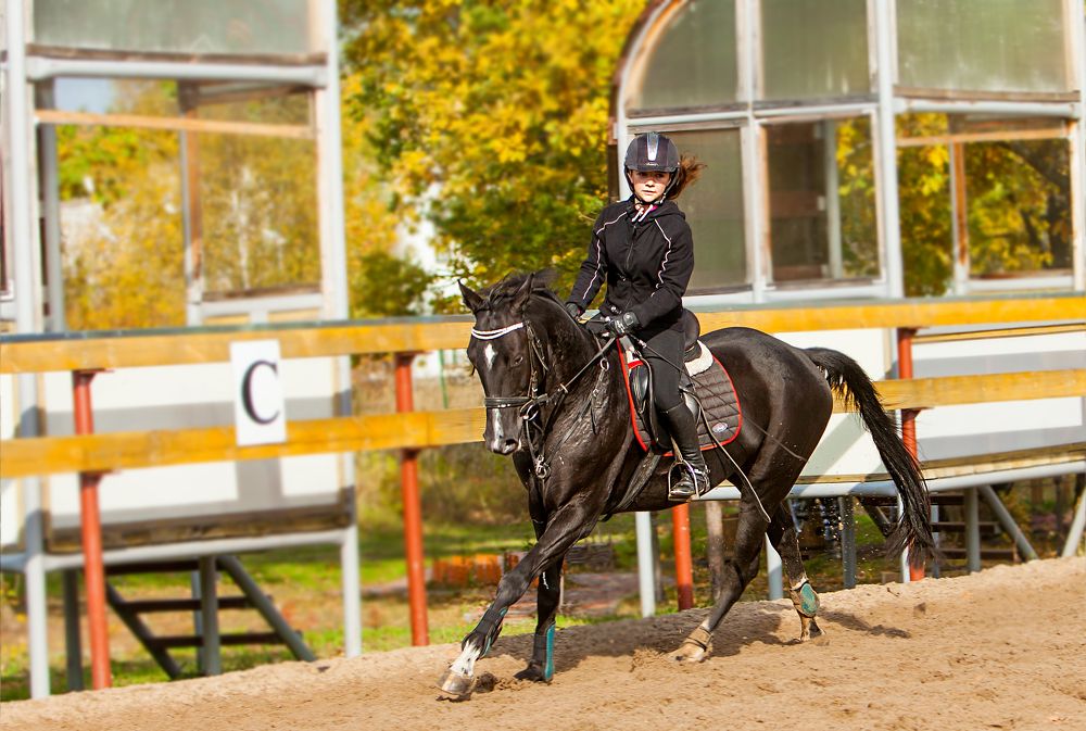 Вперед к победе!
