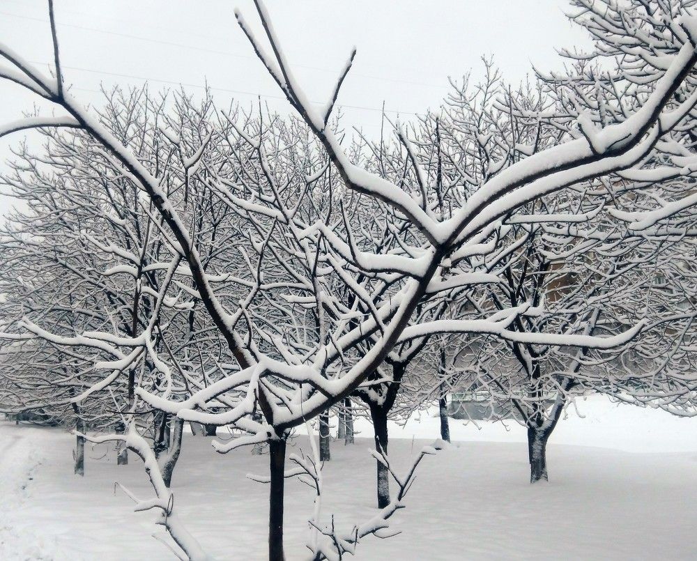 Фотографика