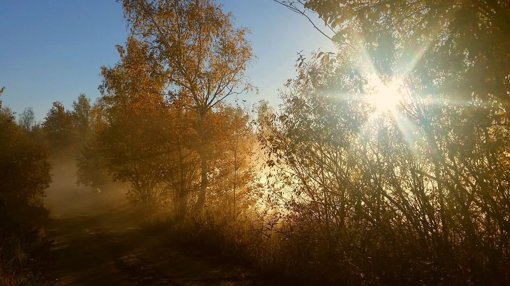 Утро лучистое