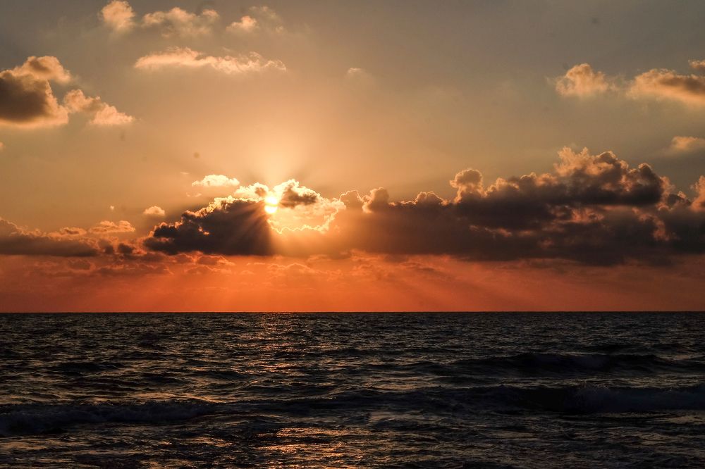 Фотография автора A.M. Photo