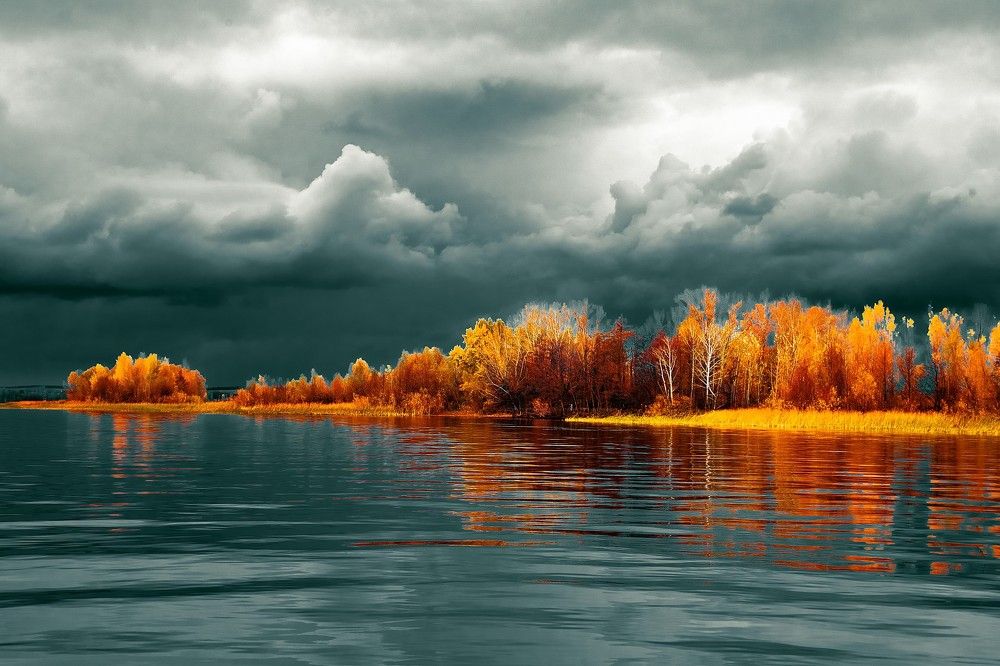 Золотая осень.