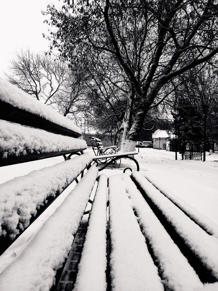 Заснеженный сквер