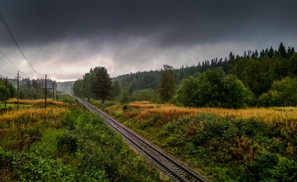 Дорога в неизвестность