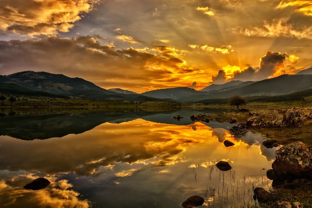 The Splendors of Reflection